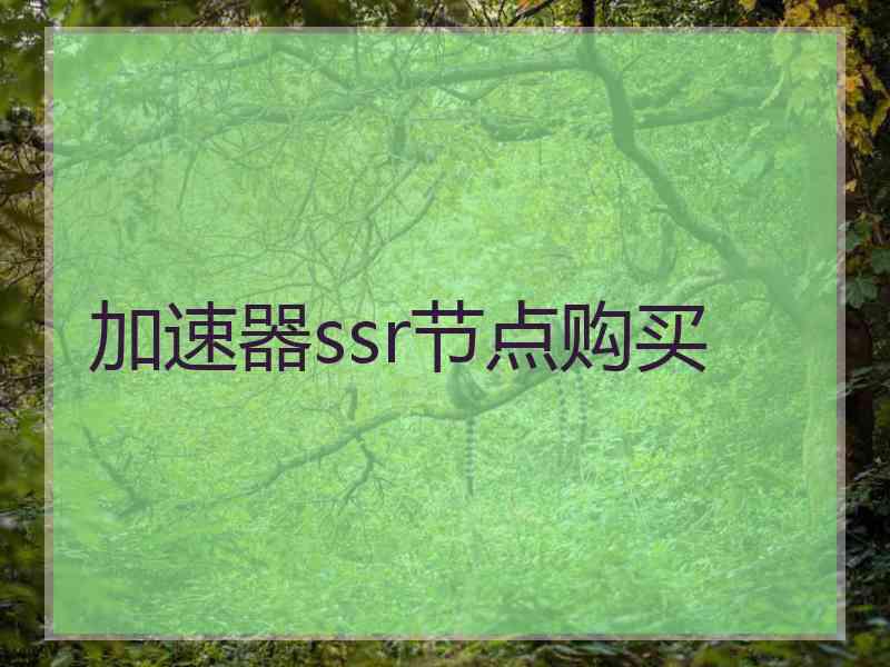 加速器ssr节点购买