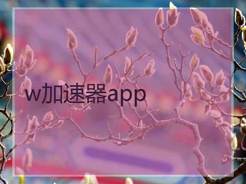 w加速器app