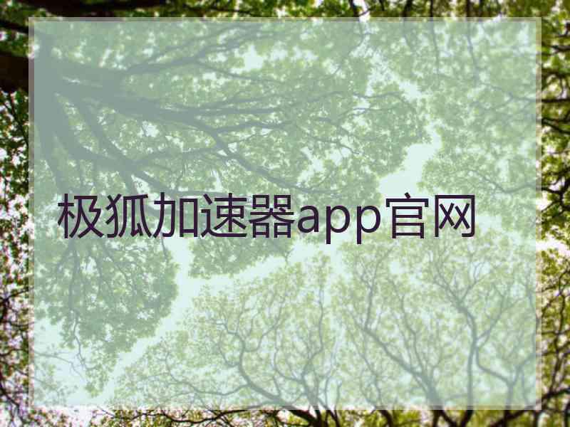 极狐加速器app官网