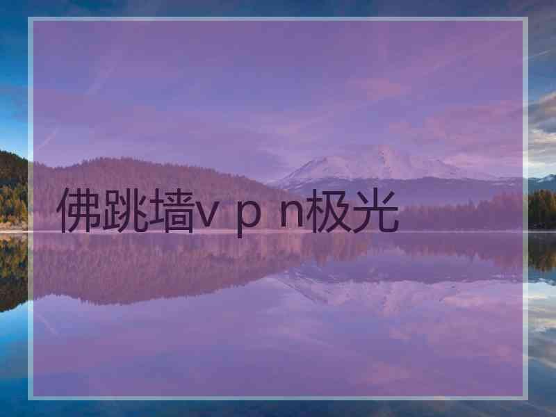 佛跳墙v p n极光