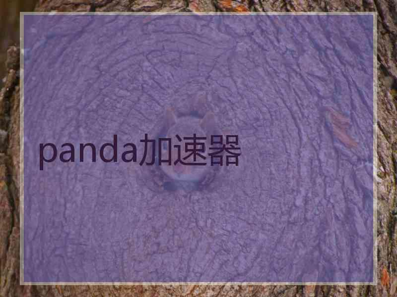panda加速器