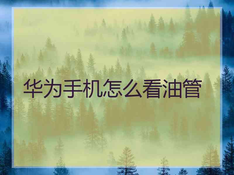 华为手机怎么看油管