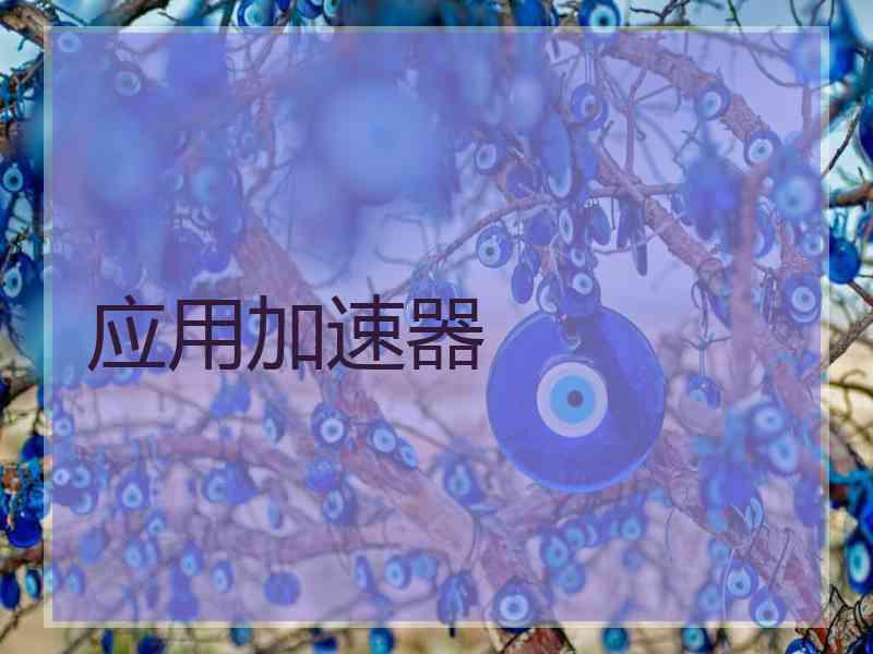 应用加速器