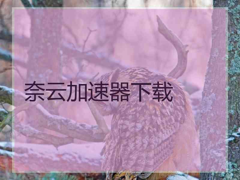 奈云加速器下载