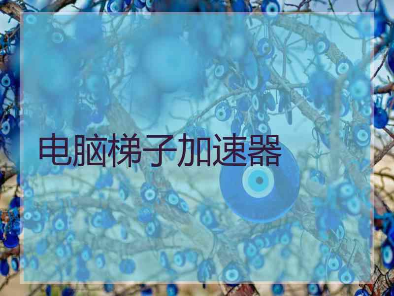 电脑梯子加速器