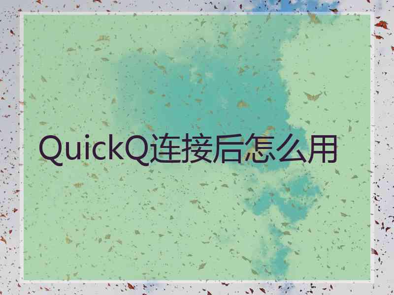 QuickQ连接后怎么用