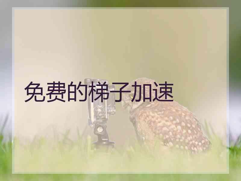 免费的梯子加速