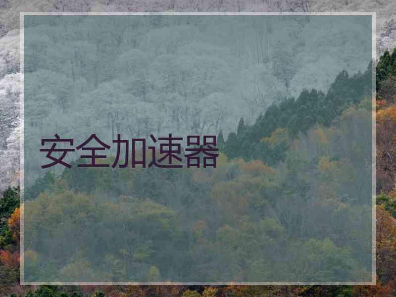 安全加速器
