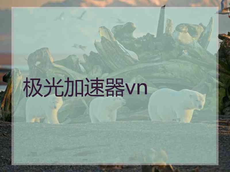 极光加速器vn