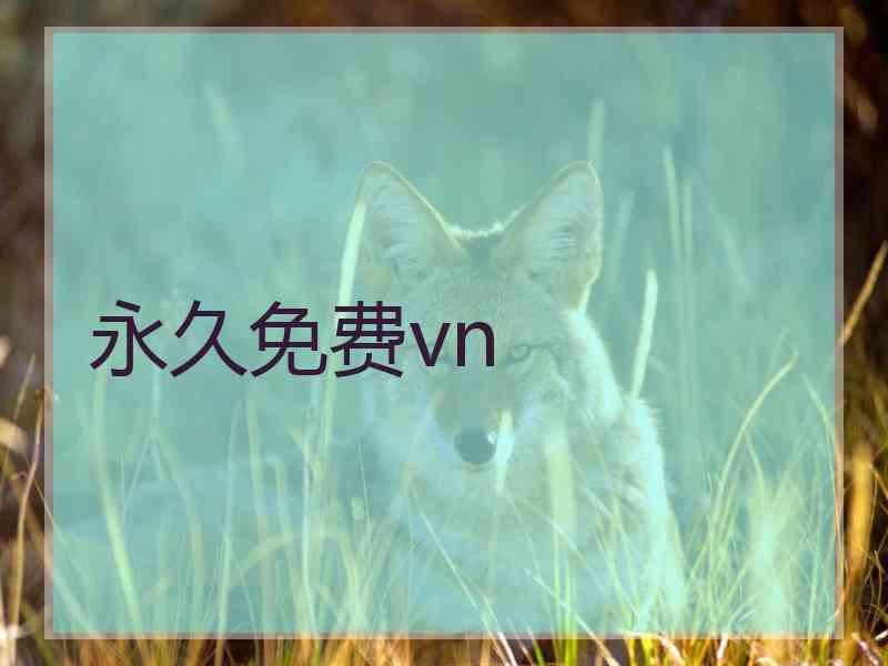 永久免费vn