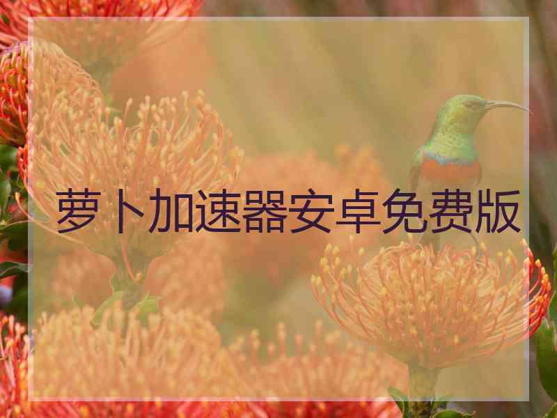 萝卜加速器安卓免费版