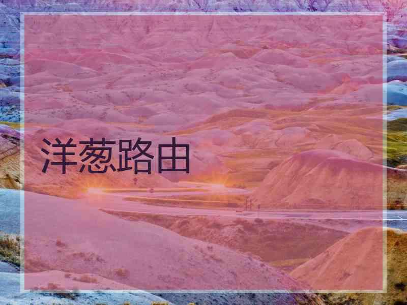 洋葱路由