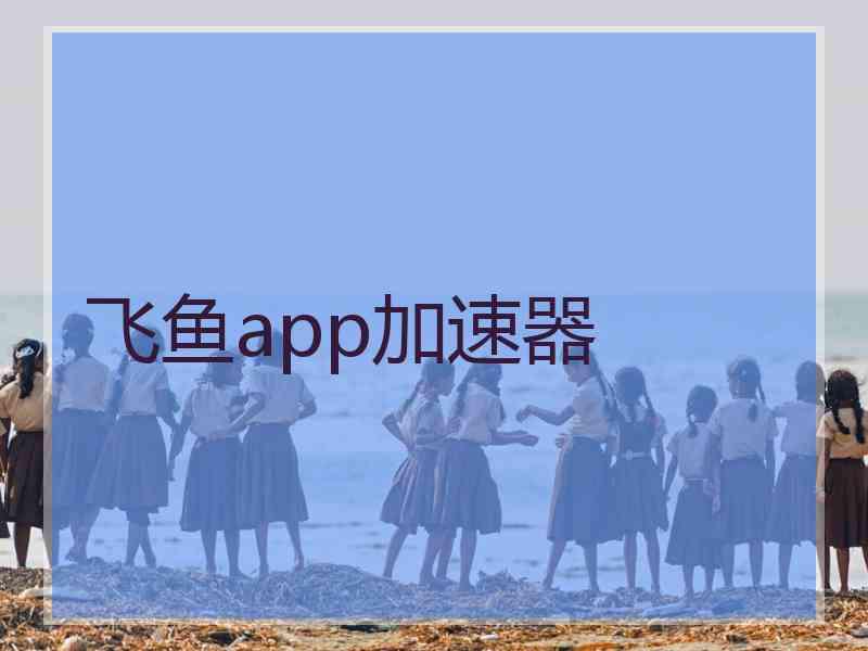 飞鱼app加速器