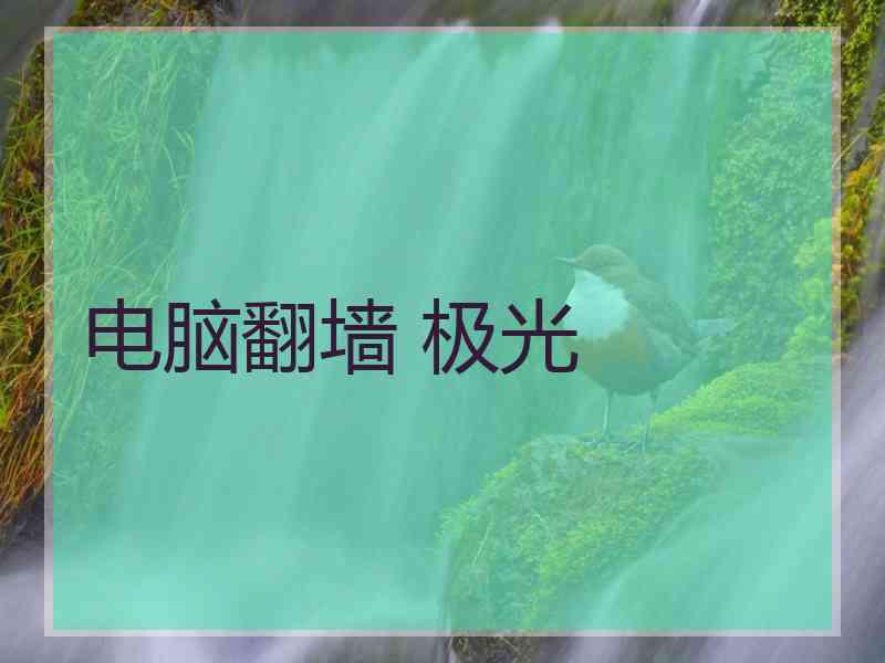 电脑翻墙 极光