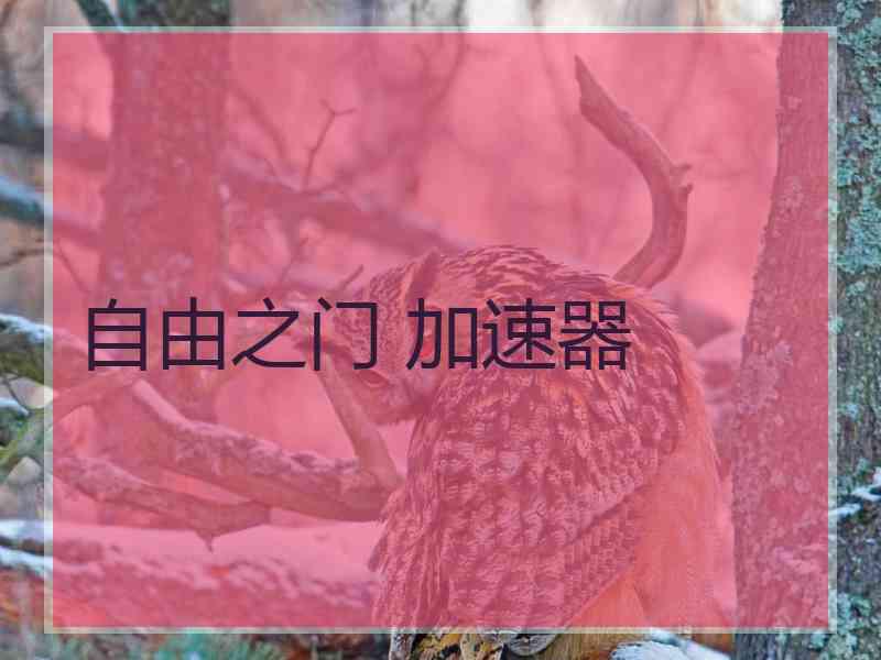自由之门 加速器
