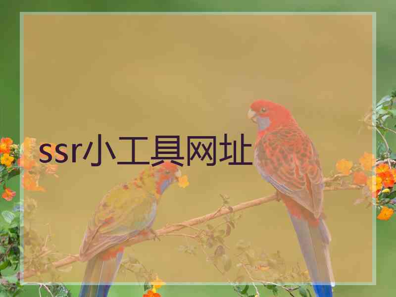ssr小工具网址