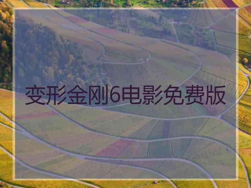 变形金刚6电影免费版