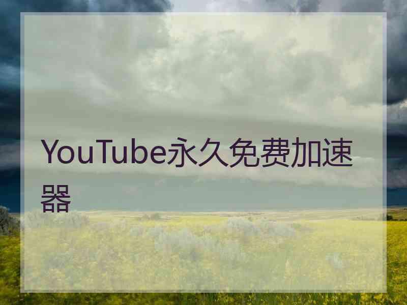 YouTube永久免费加速器