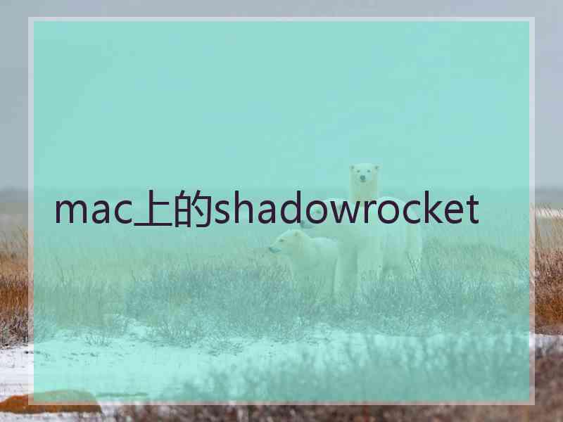 mac上的shadowrocket