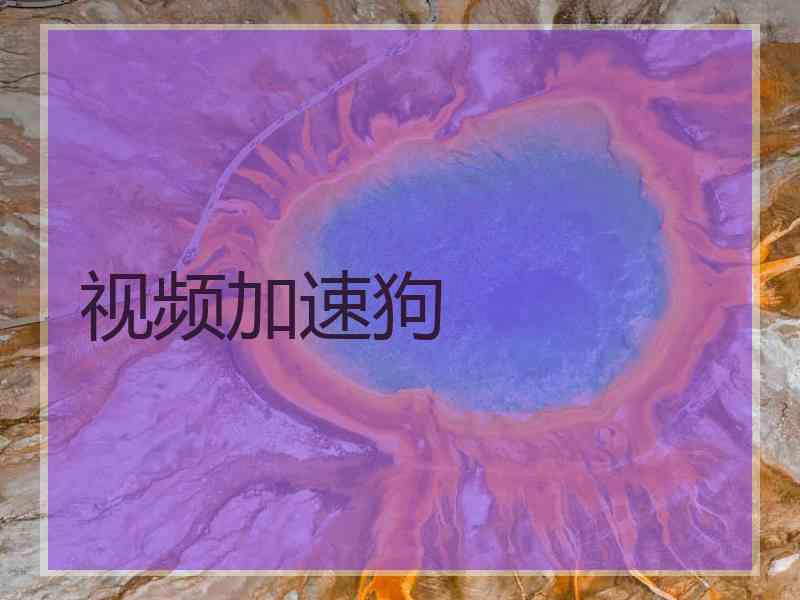 视频加速狗
