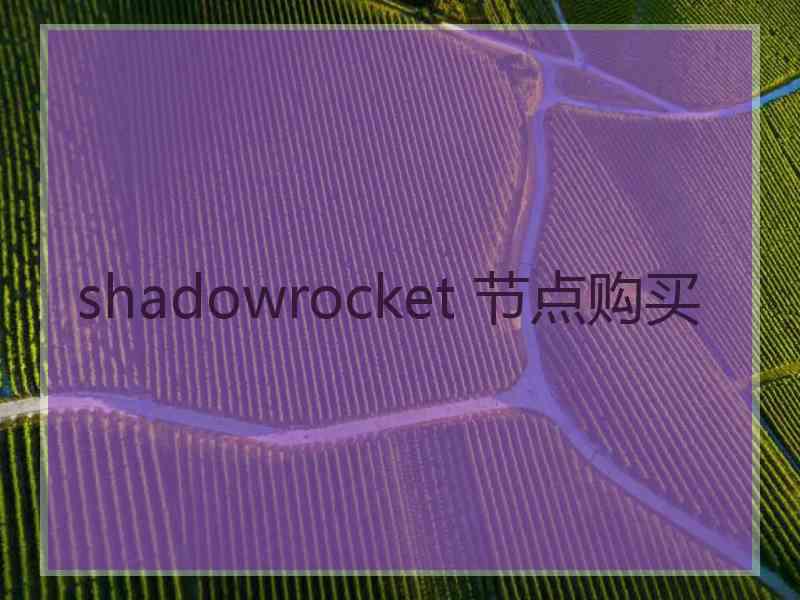 shadowrocket 节点购买