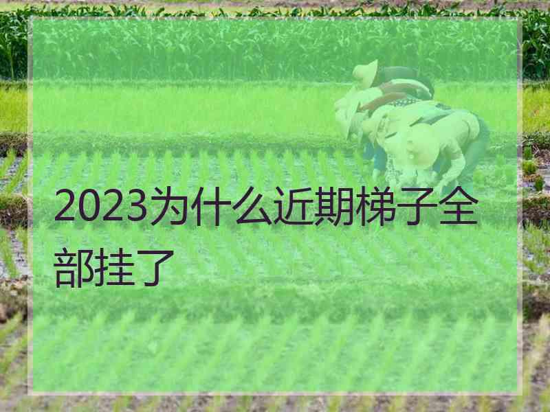 2023为什么近期梯子全部挂了