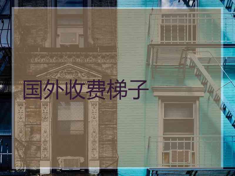 国外收费梯子