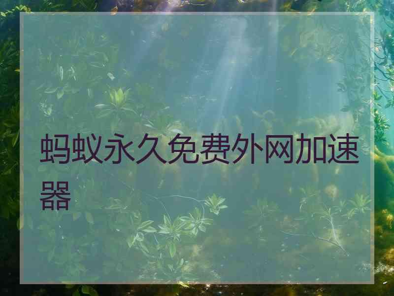 蚂蚁永久免费外网加速器