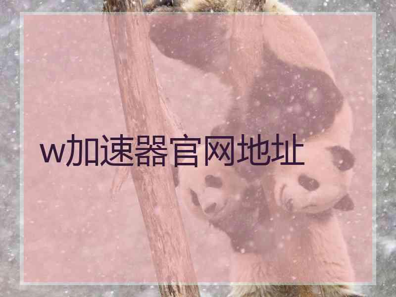 w加速器官网地址