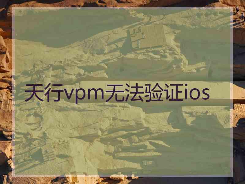 天行vpm无法验证ios