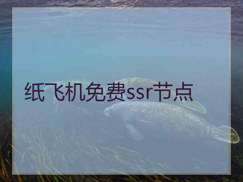 纸飞机免费ssr节点