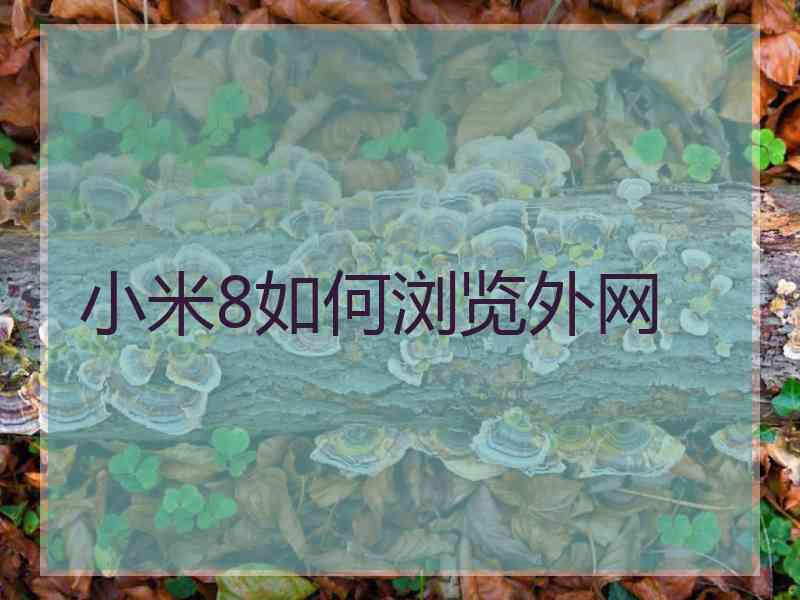 小米8如何浏览外网