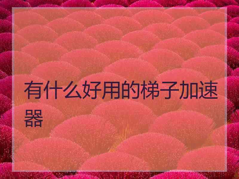 有什么好用的梯子加速器