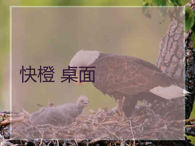 快橙 桌面