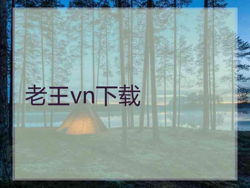 老王vn下载