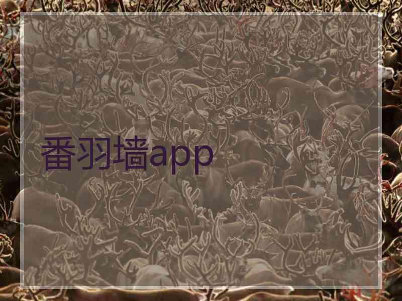 番羽墙app