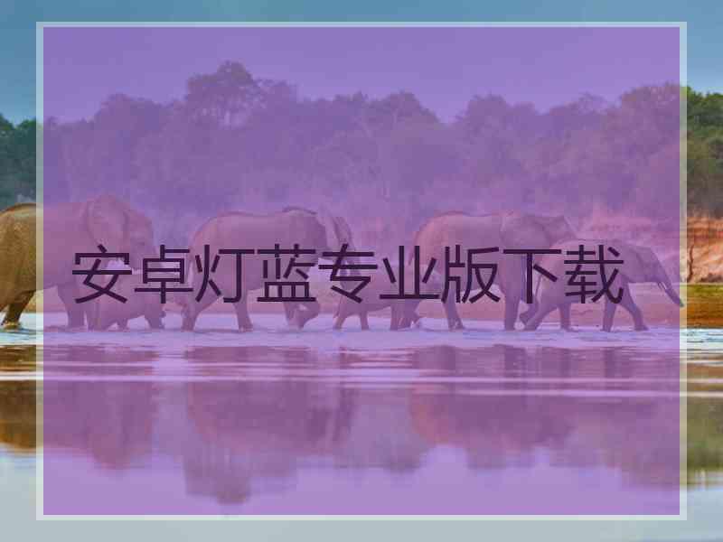 安卓灯蓝专业版下载
