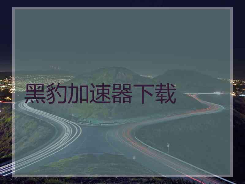 黑豹加速器下载