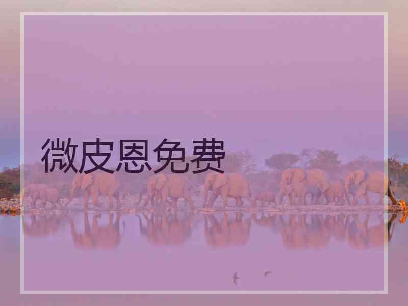 微皮恩免费