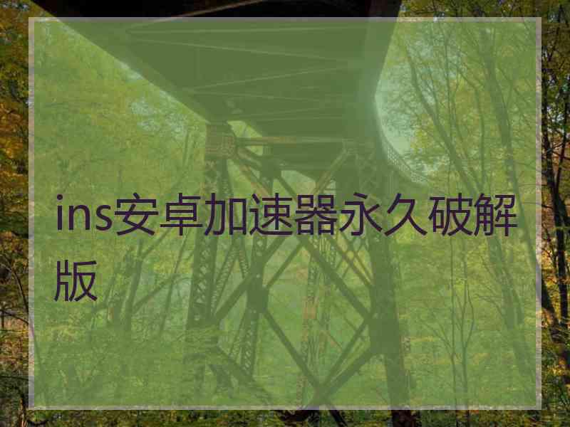 ins安卓加速器永久破解版