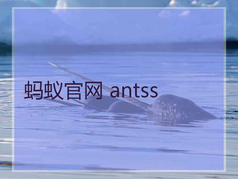 蚂蚁官网 antss