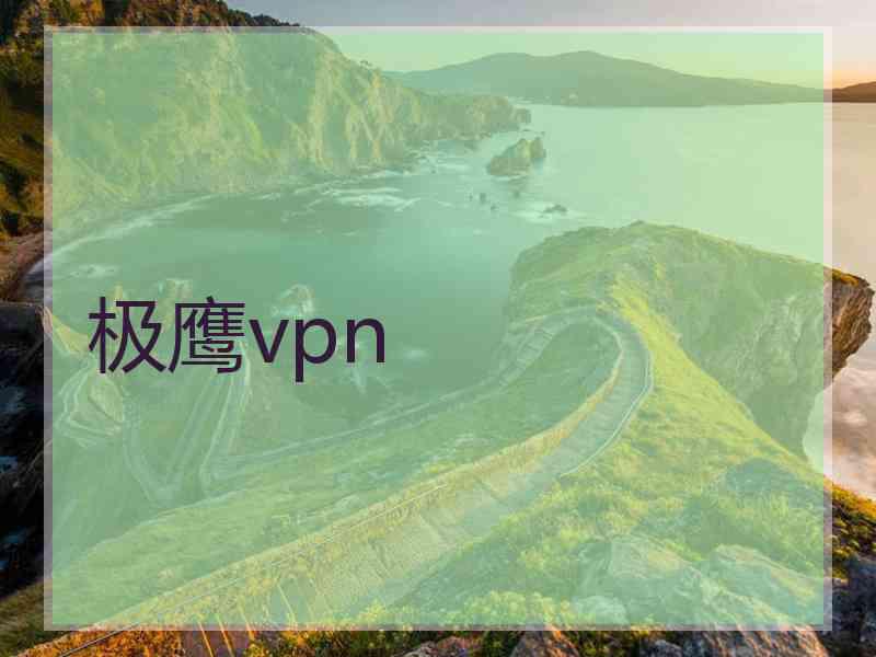 极鹰vpn