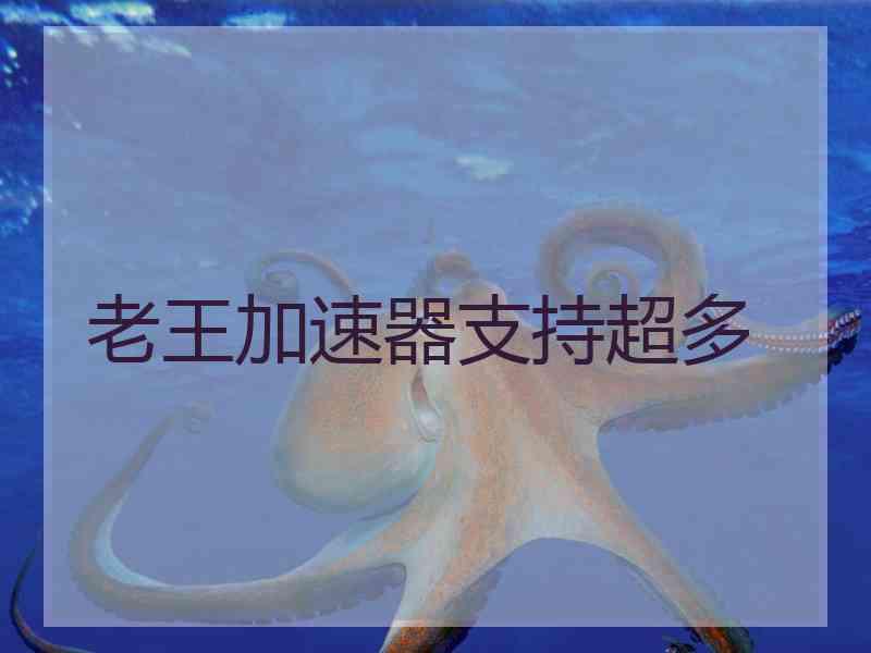 老王加速器支持超多