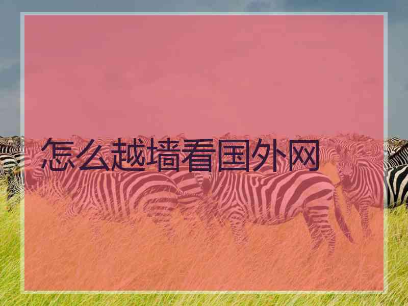 怎么越墙看国外网