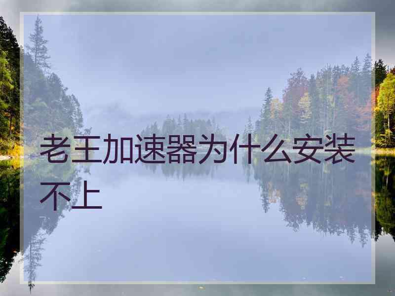 老王加速器为什么安装不上