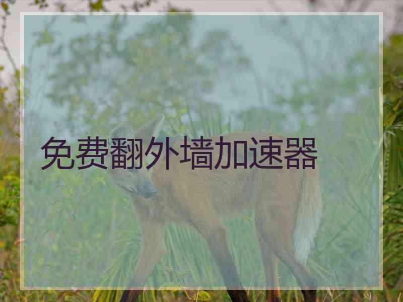 免费翻外墙加速器