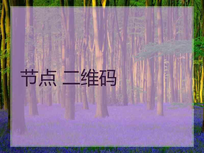 节点 二维码
