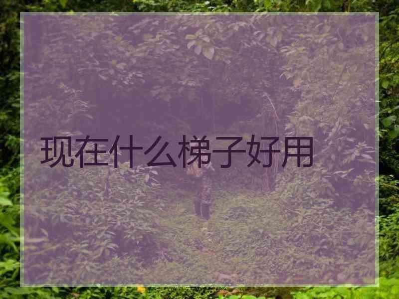 现在什么梯子好用
