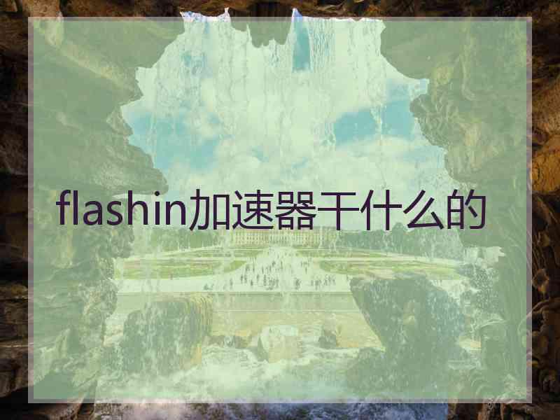 flashin加速器干什么的