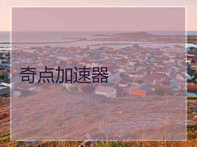 奇点加速器
